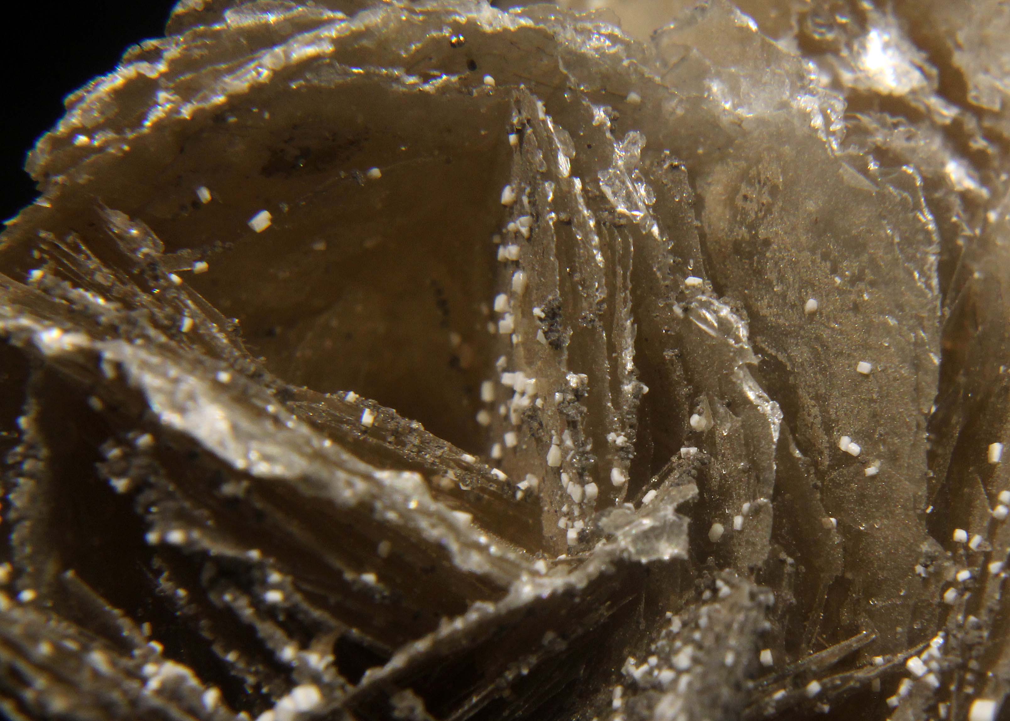 Normal light. Closeup FOV 25mm