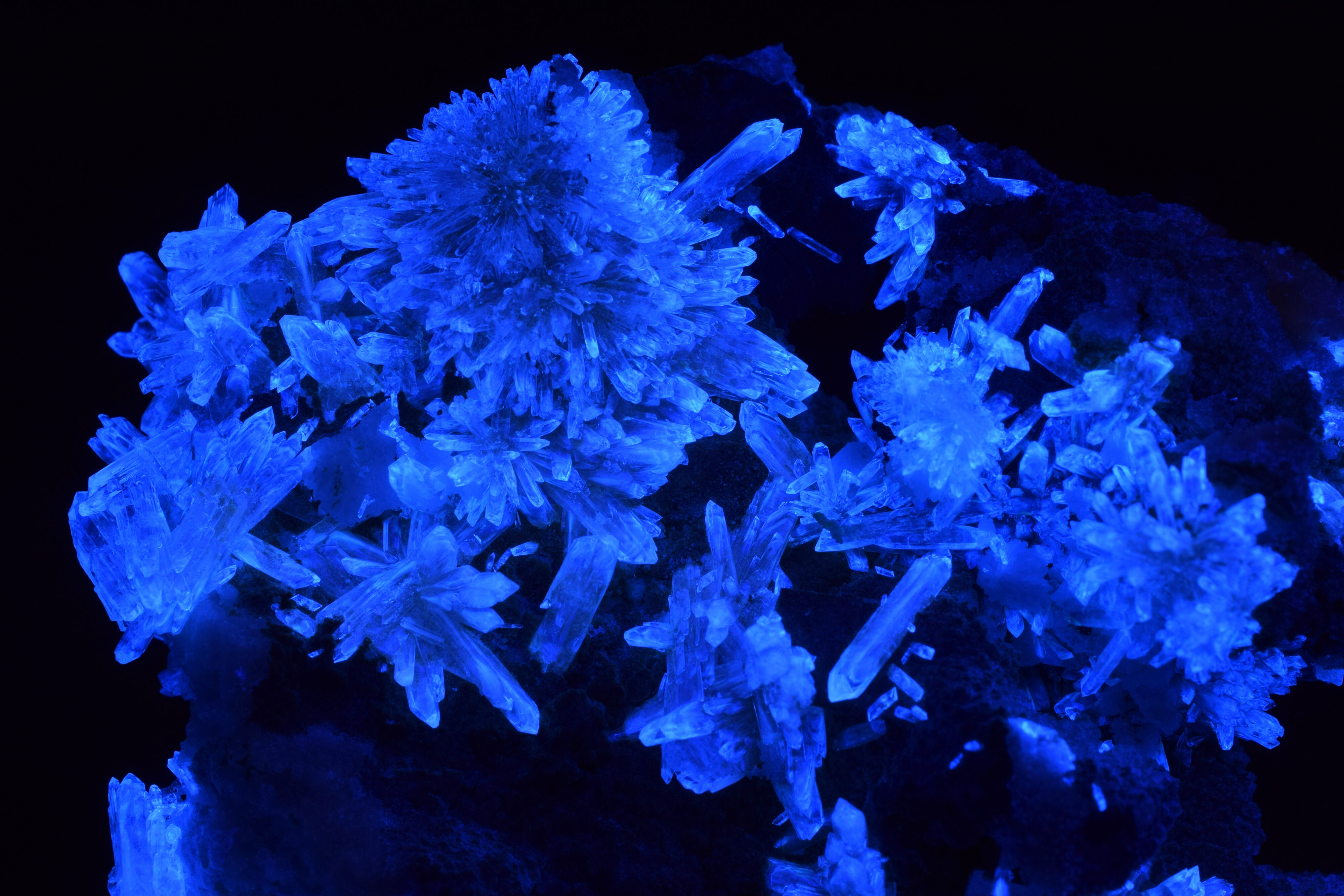 Fluorescence under shortwave UV light.