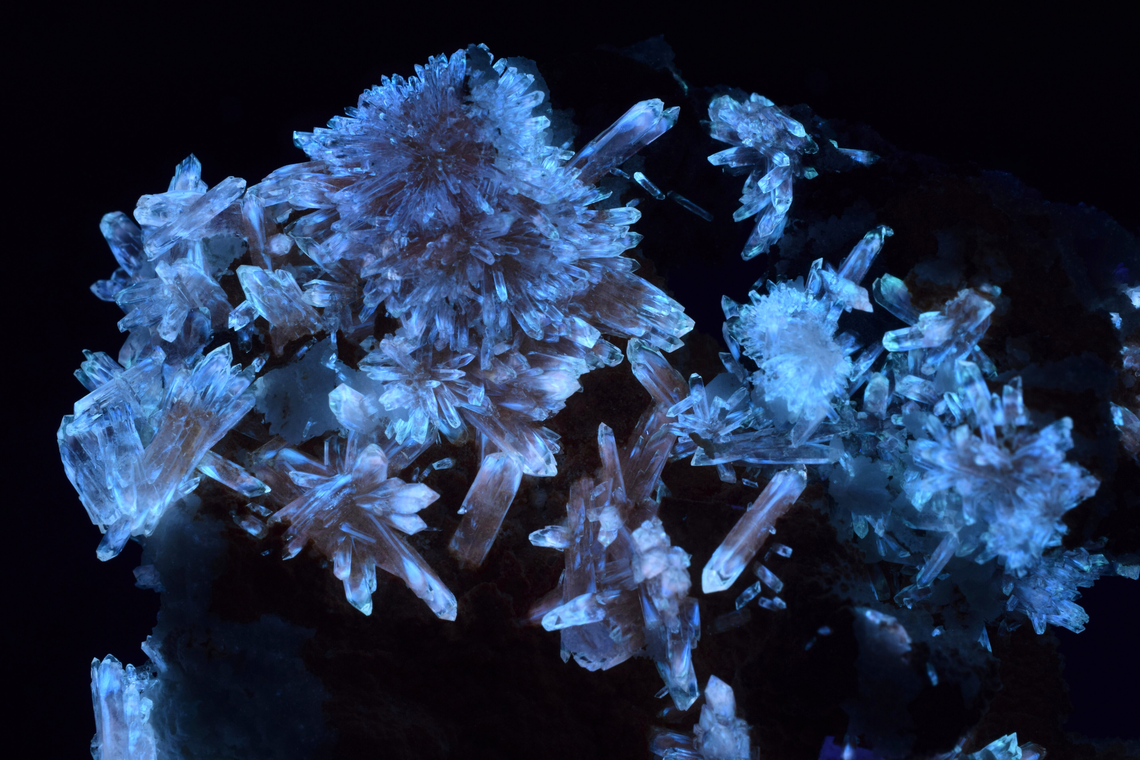 Fluorescence under longwave UV light.