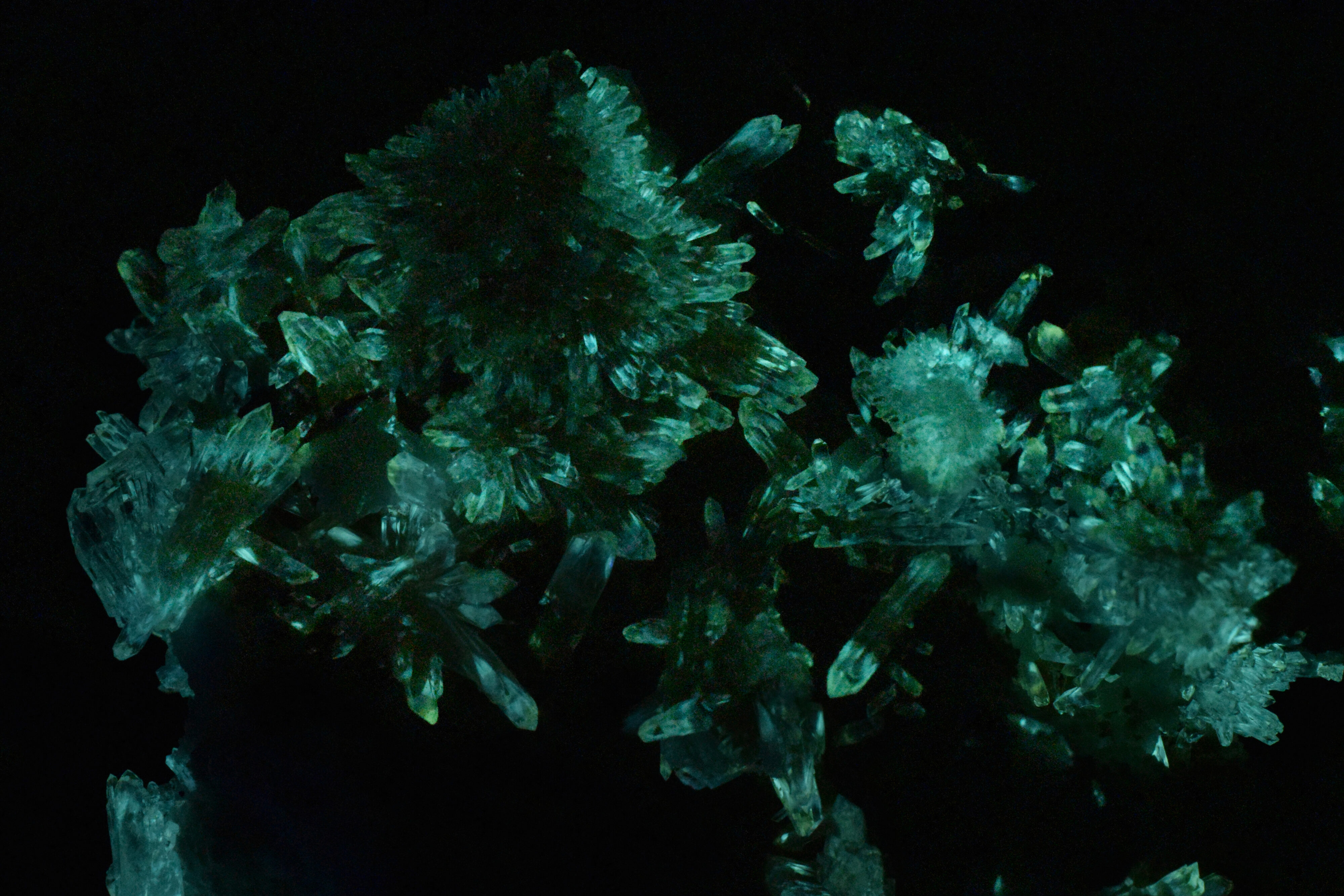 Afterglow after exposure to longwave UV light.