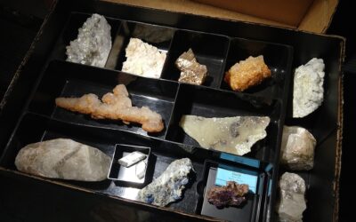 Black Display Boxes for Flats