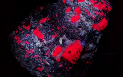 Do All Rubies Fluoresce the Same?