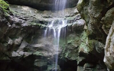 Agate from Scott’s Gulf, Smyrna, Tennessee