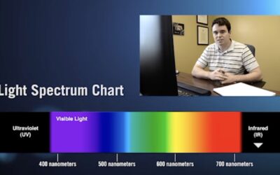 Ultraviolet light: 365nm vs 385nm