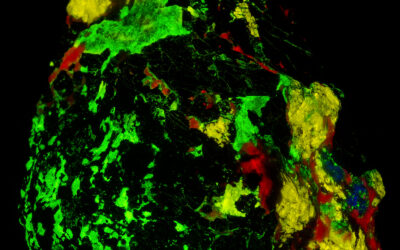 Photographing Esperite (and other “hard rocks”)