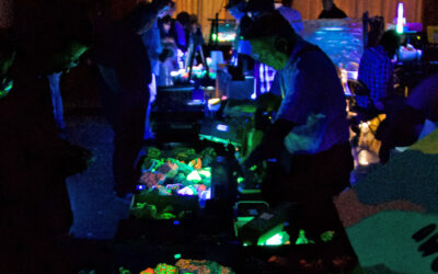 Ultraviolation 2017 Show Report