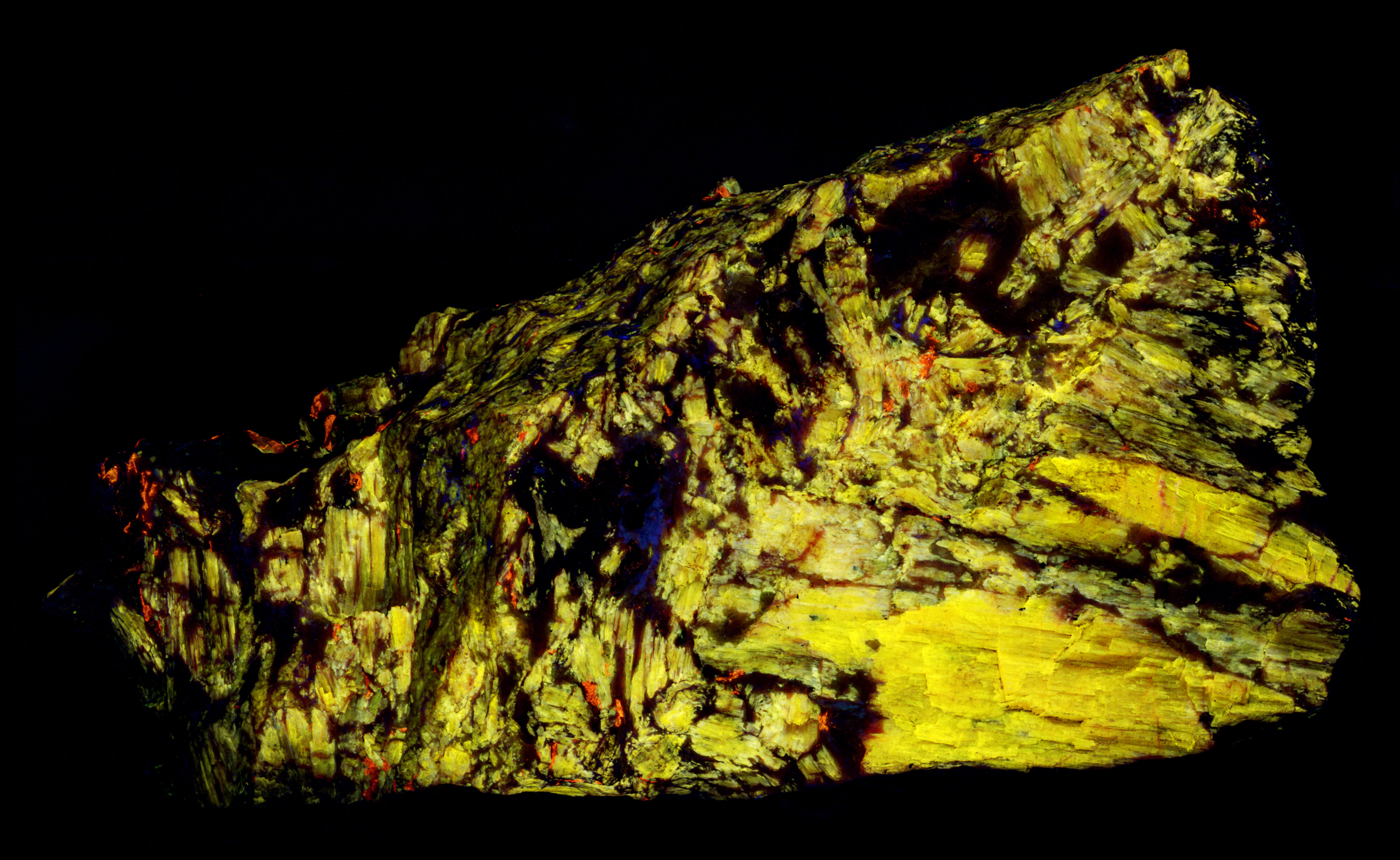 Ultraviolet fluorescence under shortwave UV light. False color of 310 nm, 350 nm, and 394 nm bandpass images.