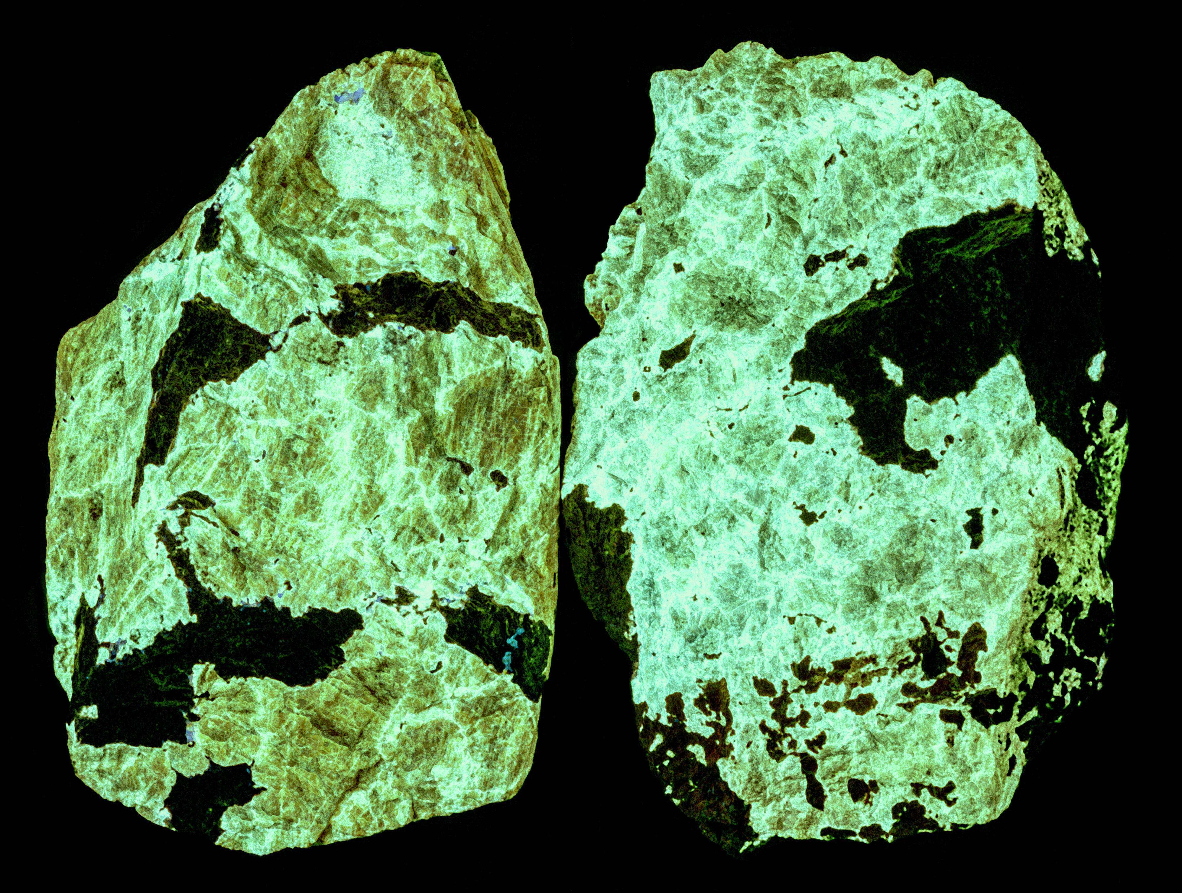 Ultraviolet fluorescence under shortwave UV light. False color of 310 nm, 350 nm, and 394 nm bandpass images.