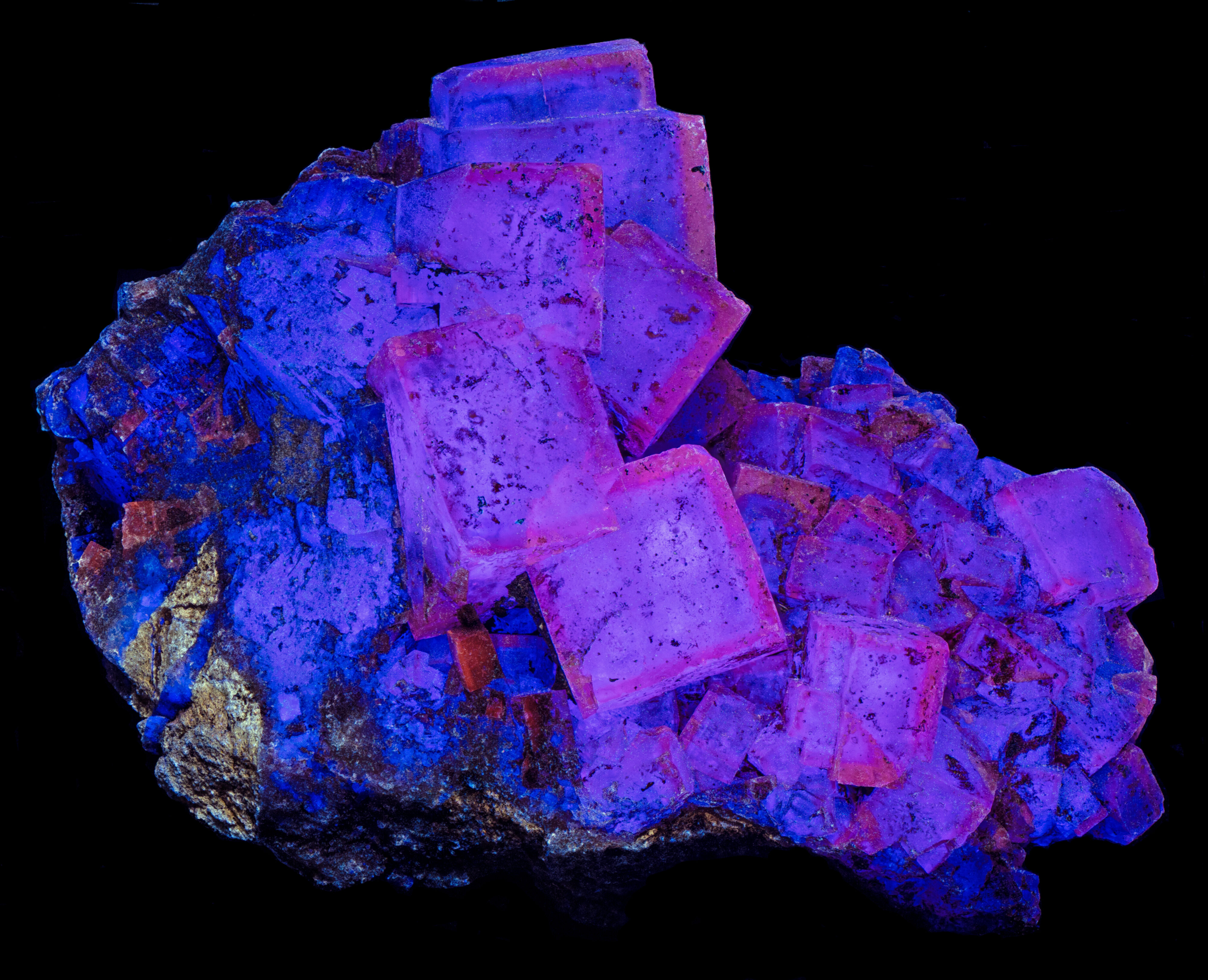 Fluorescence under longwave UV light.