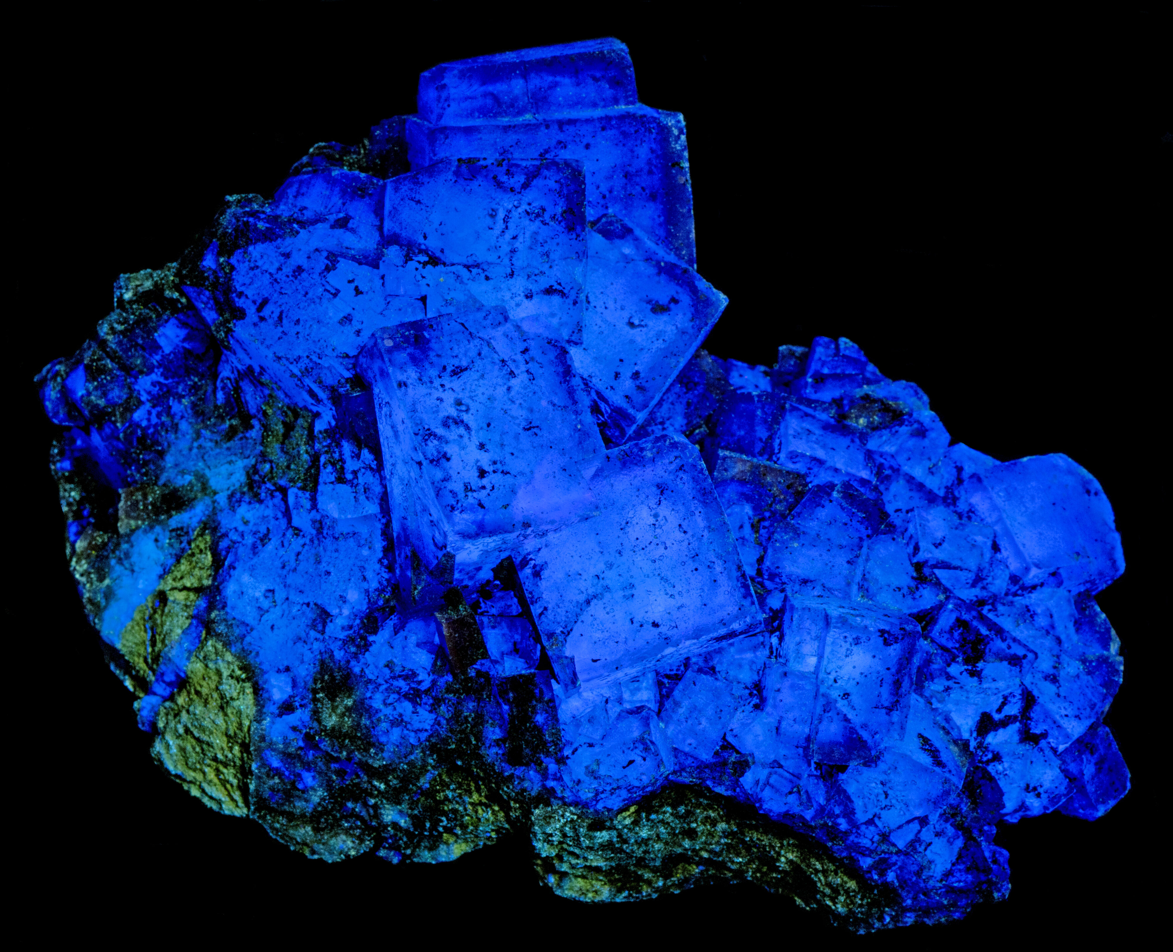 Fluorescence under 340 nm LED UV light.