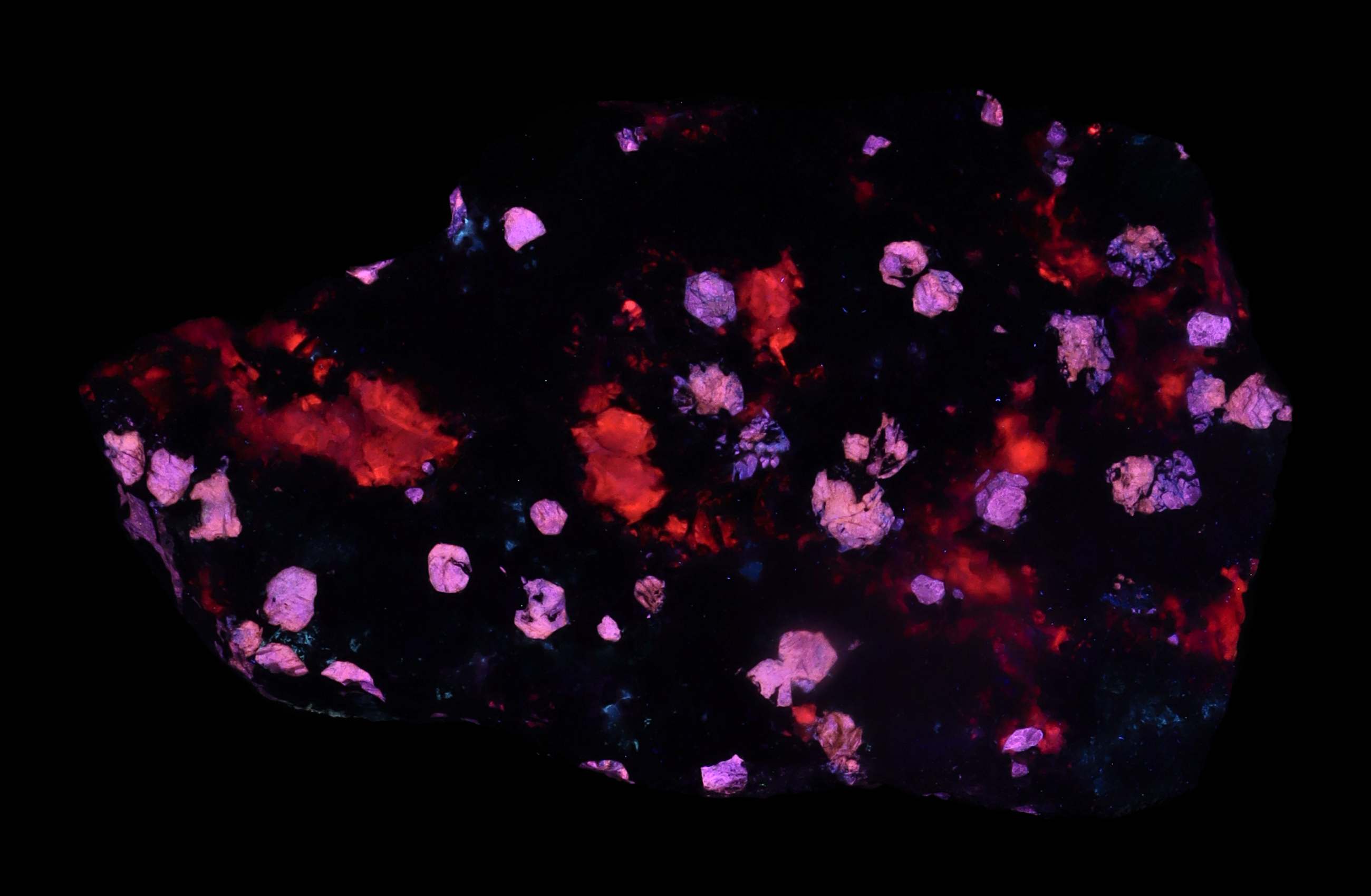 Fluorescence under midwave UV light.