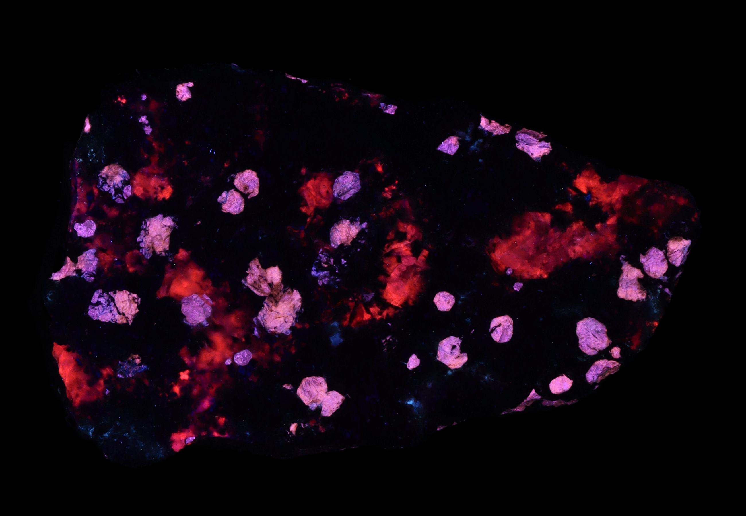 Fluorescence under midwave UV light.