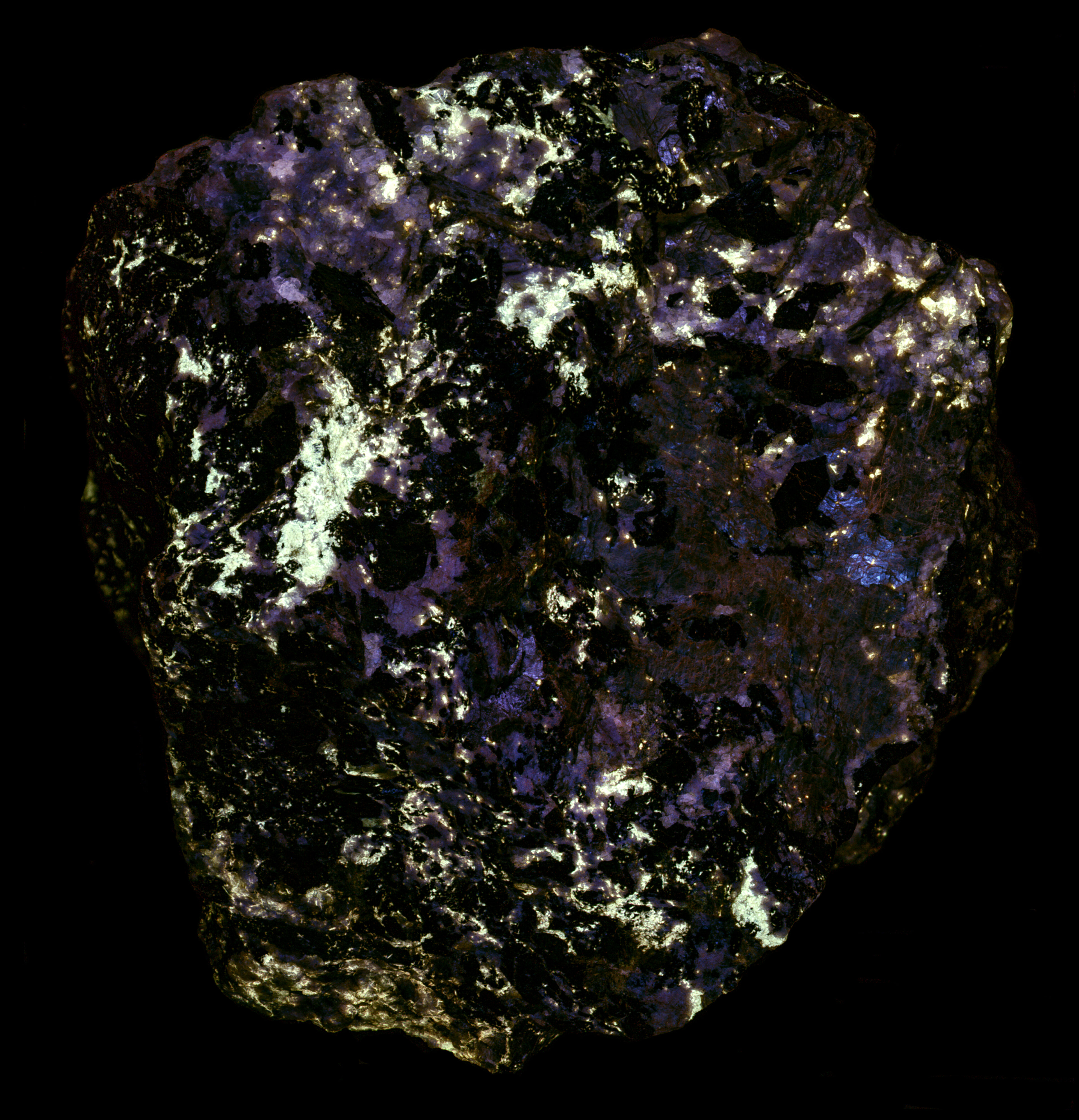 Ultraviolet fluorescence under midwave UV light. False color of 350 nm, 375 nm, and 394 nm bandpass images.