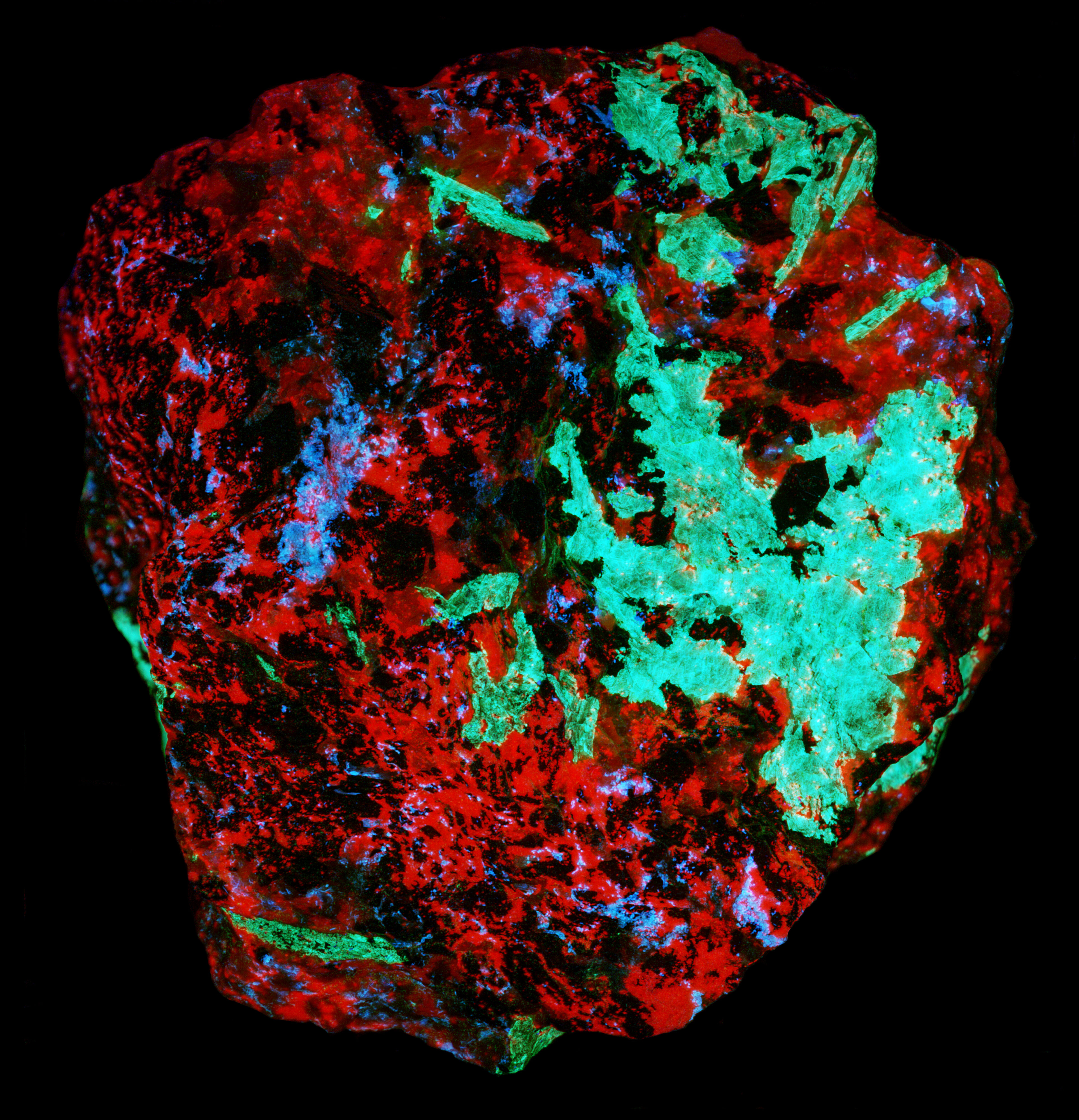 False color image of ultraviolet and near infrared fluorescence under shortwave UV light. Composite of 720 nm (red), 394 nm (green), and 350 nm (blue).