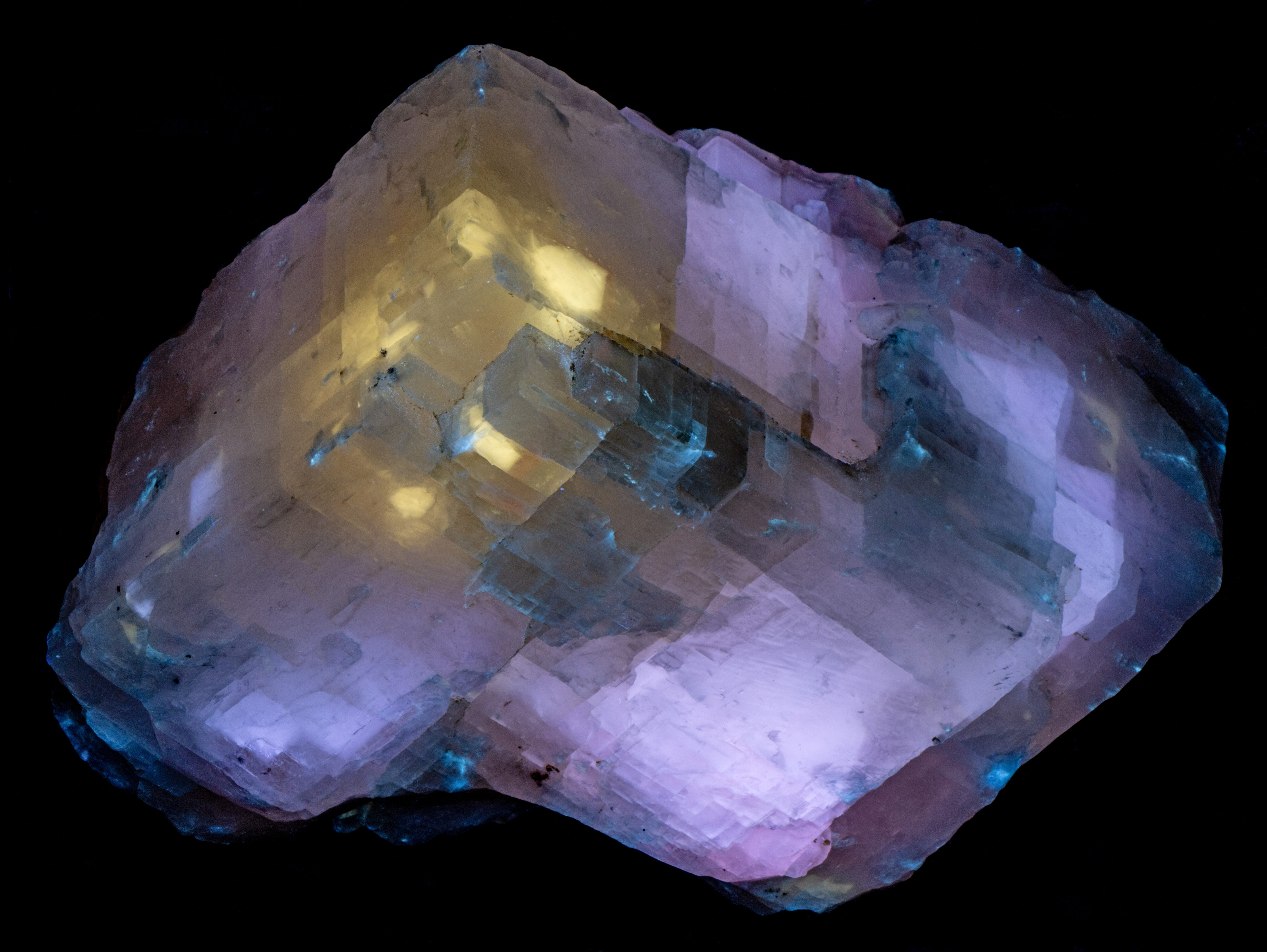 Fluorescence under 340 nm LED UV light.