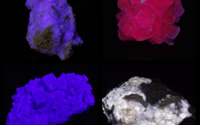 A quatuor of fluorescent fluorites