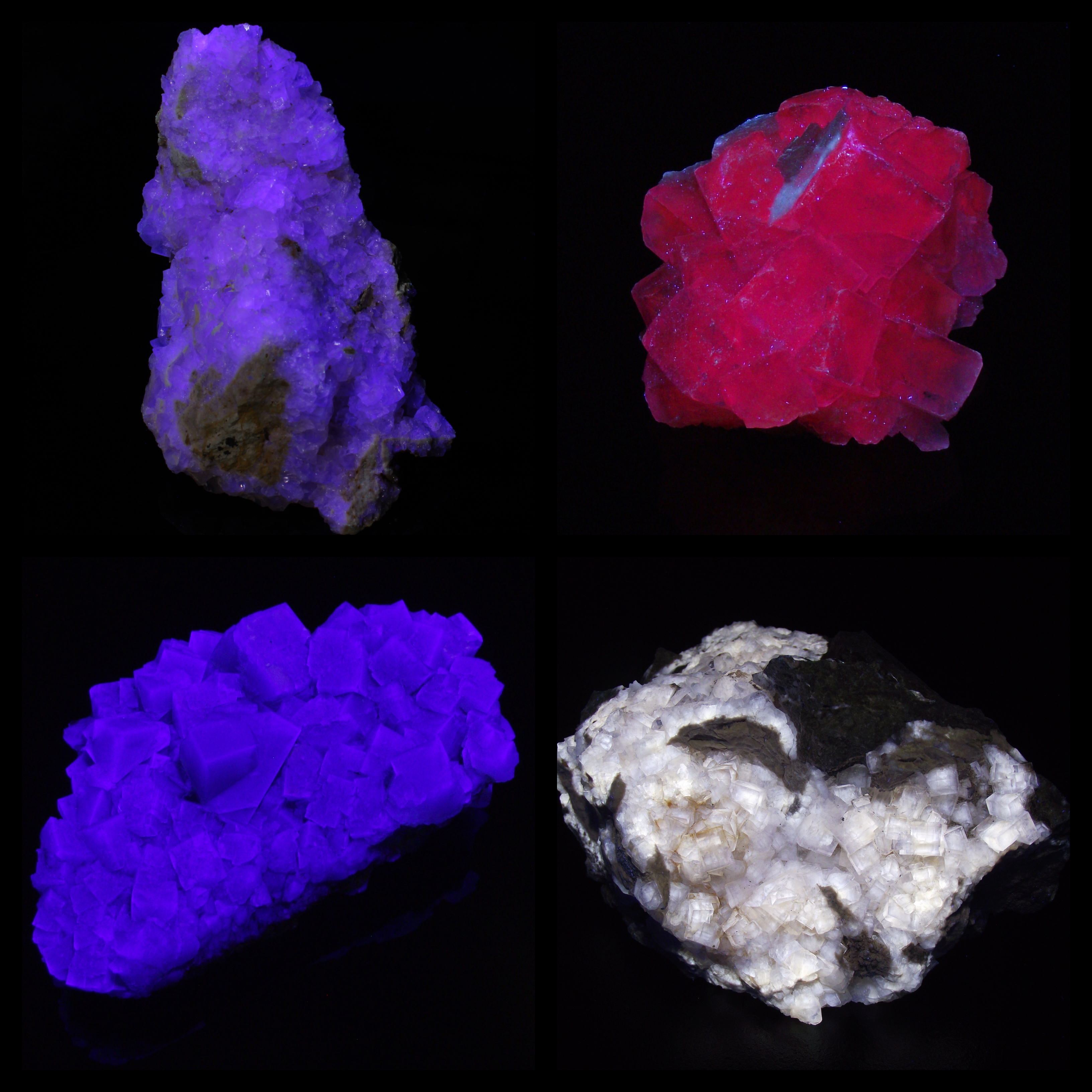 fml-fluorites-lw
