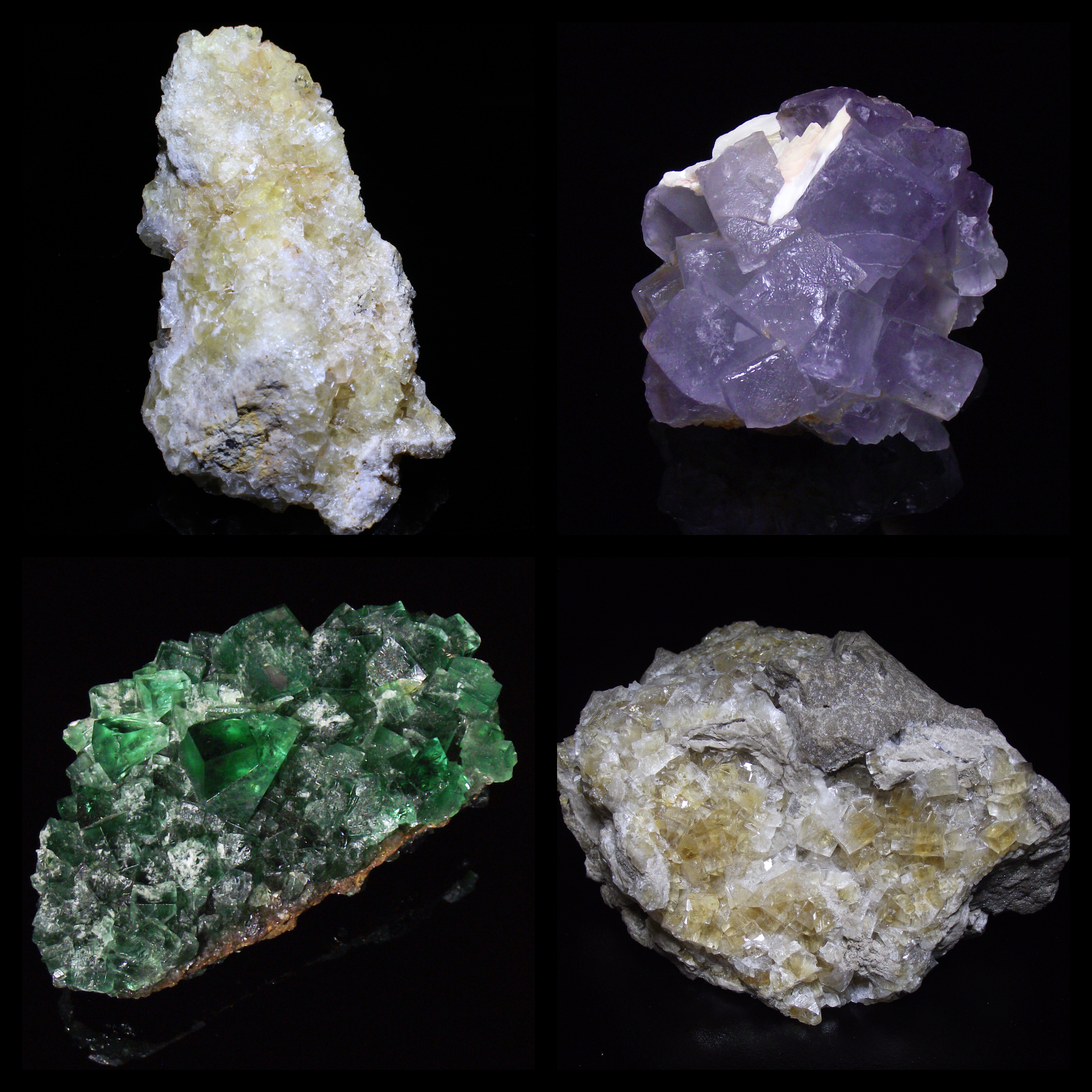 fml-fluorites-vis