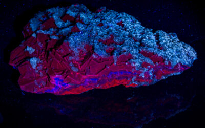 “Black Rose” Fluorite: Fluorescence will ultimately fade to a dim blue after long exposure to LW