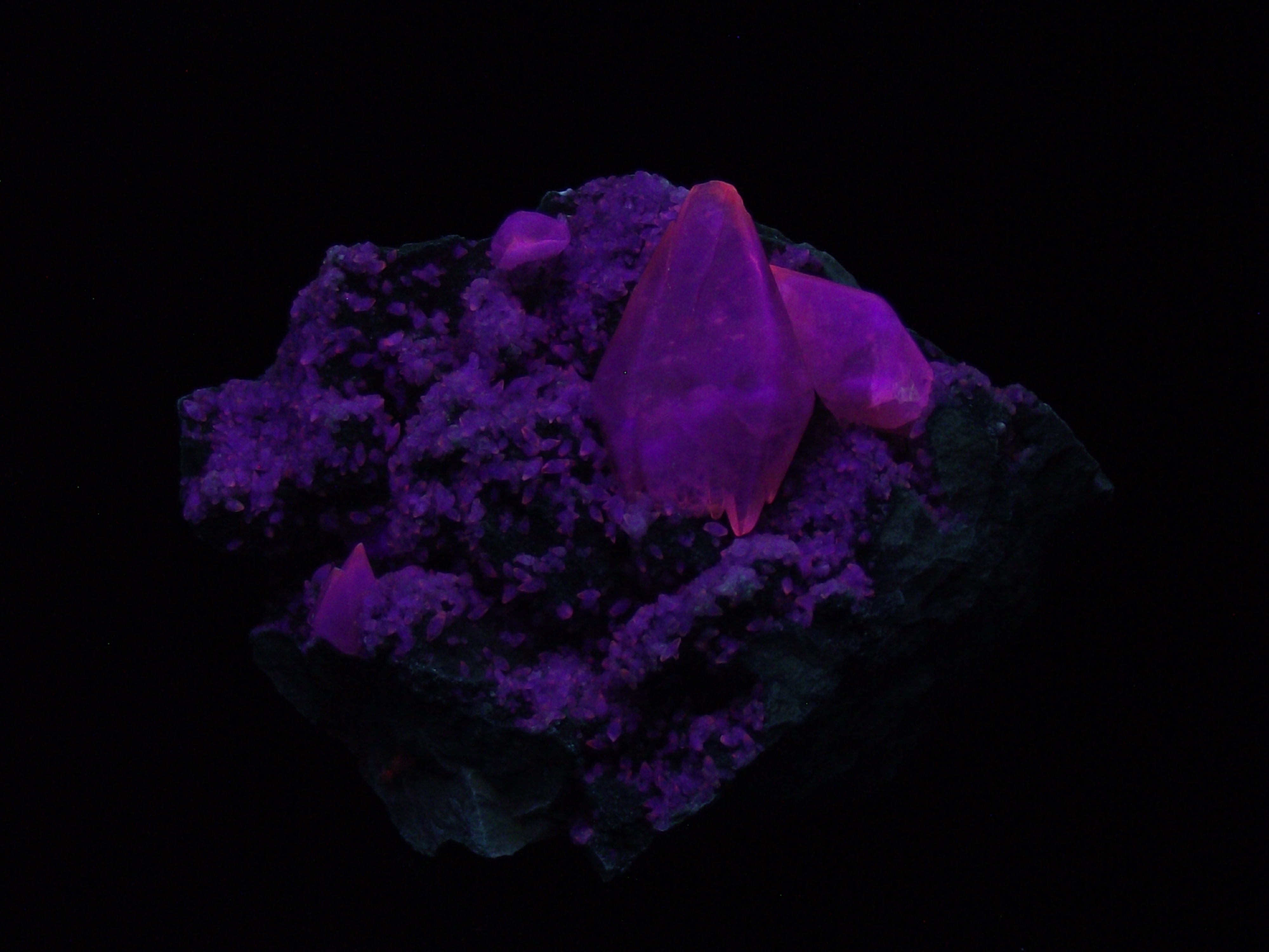 Fluorescence under midwave UV light.