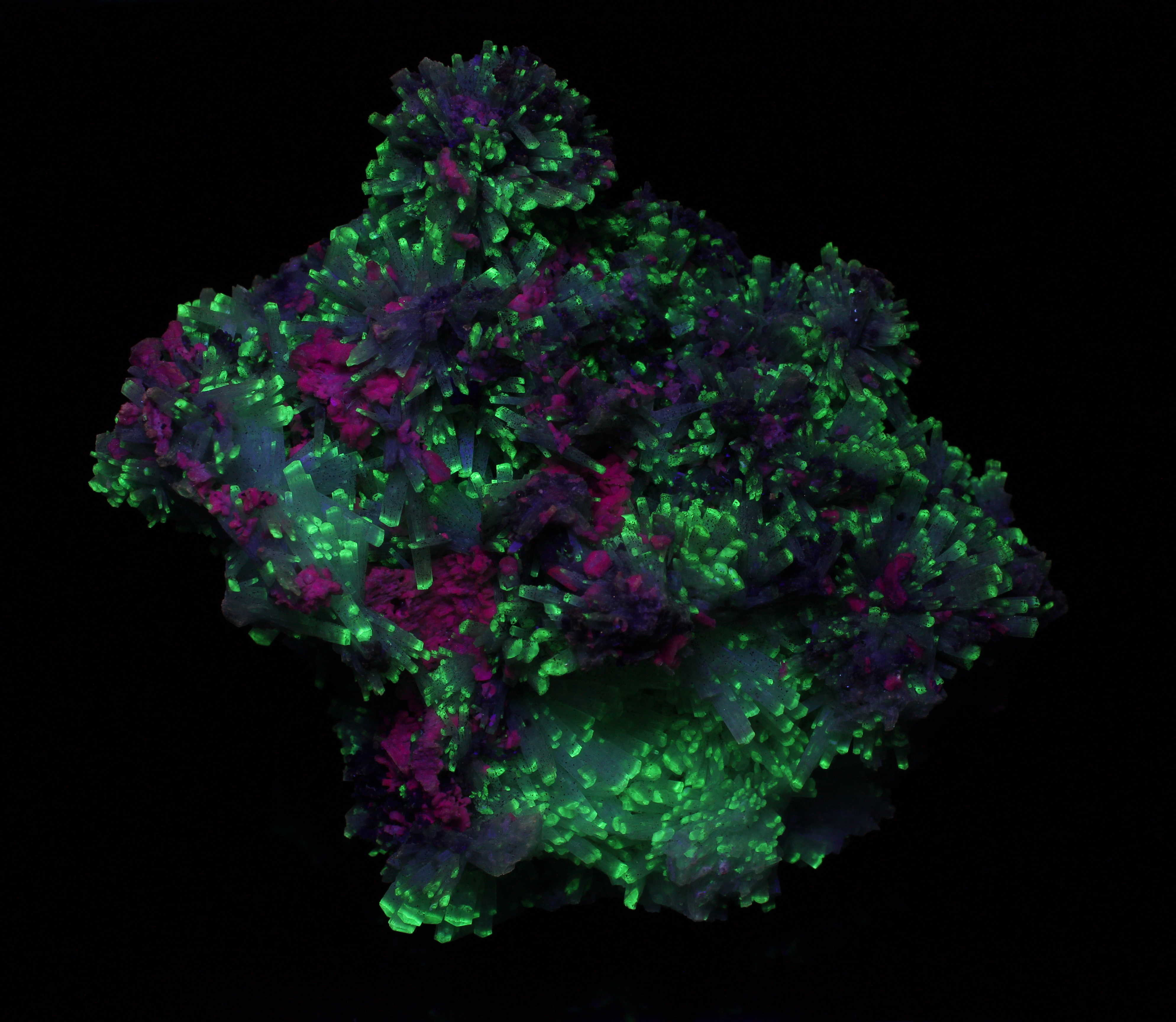 Fluorescence under shortwave UV light.