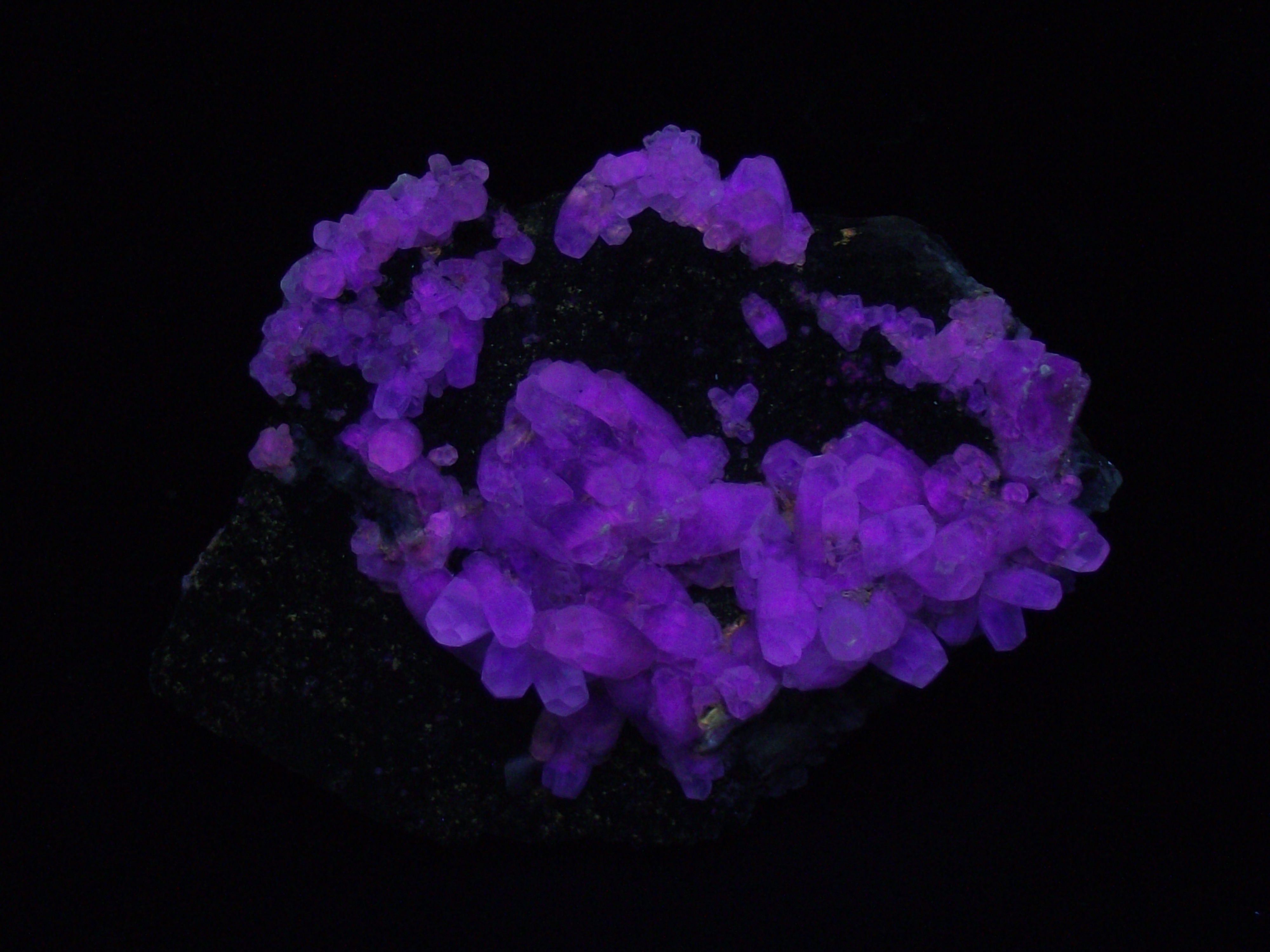 Fluorescence under midwave UV light.