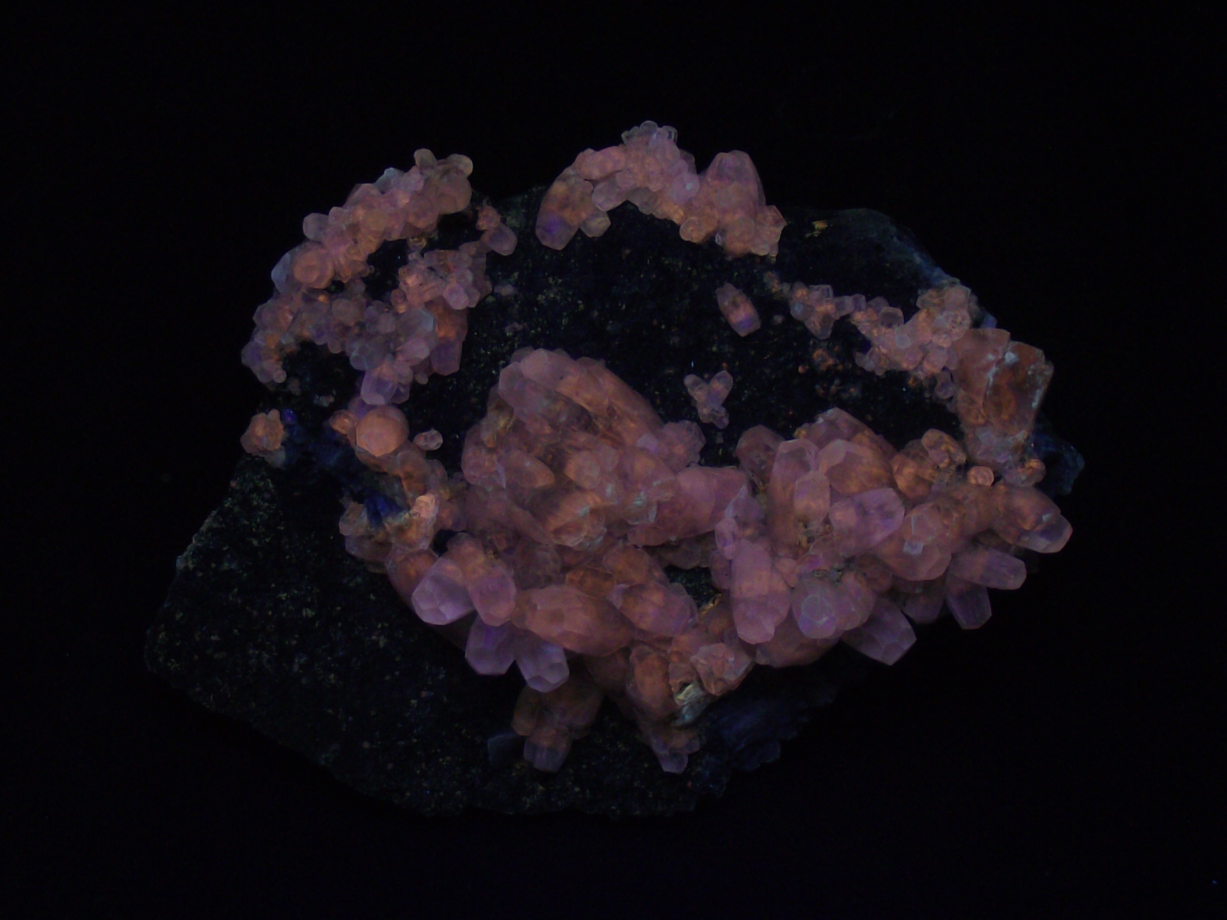 Fluorescence under shortwave UV light.