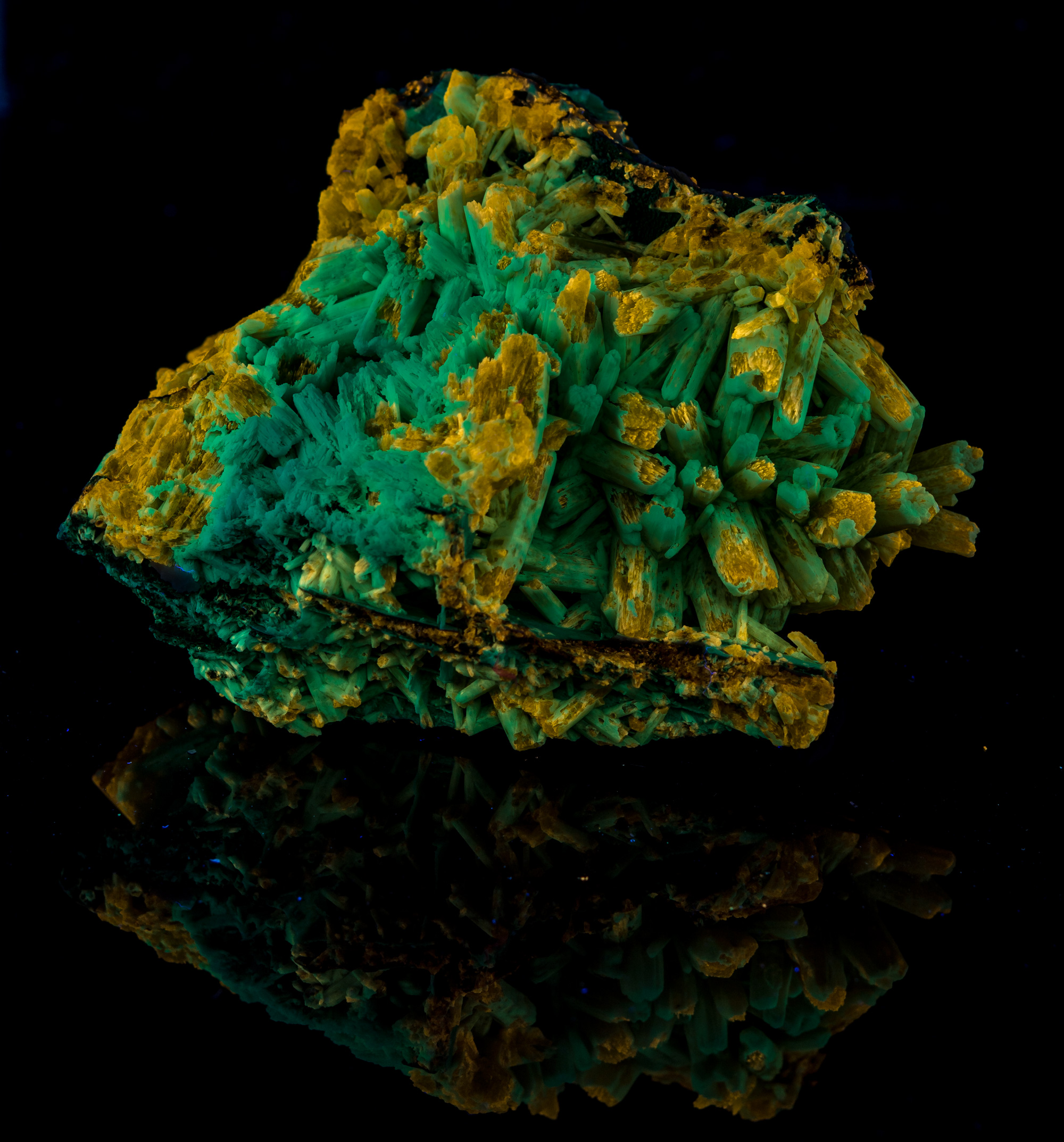 Fluorescence under midwave UV light.