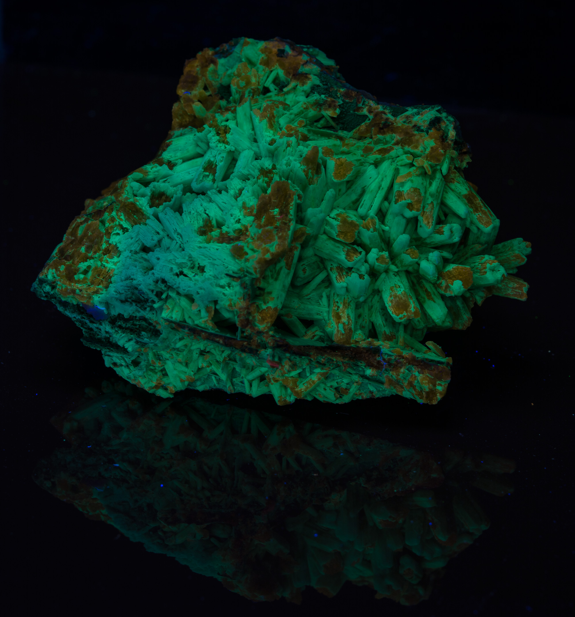 Fluorescence under shortwave UV light.
