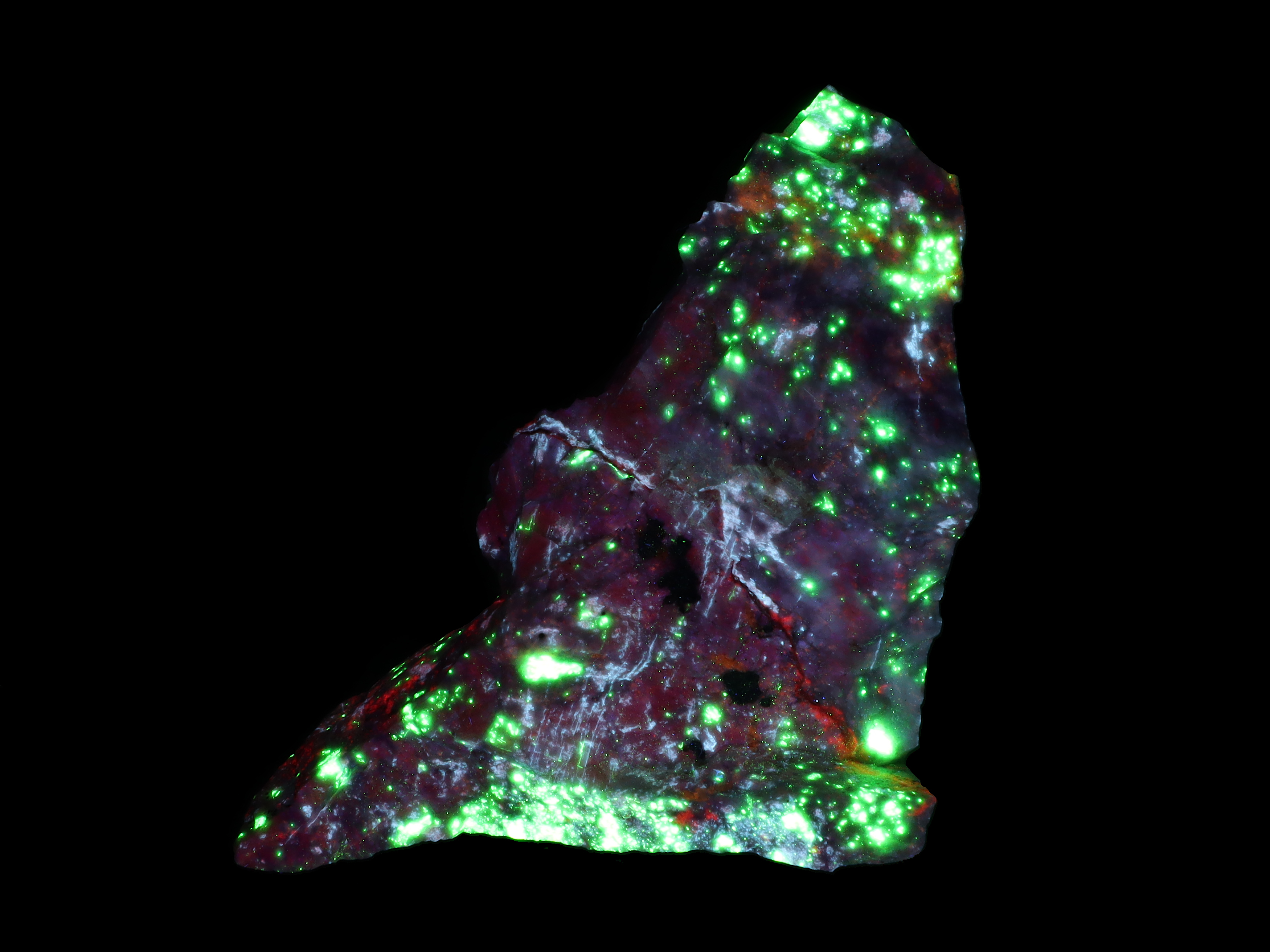 Fluorescence under shortwave UV light.