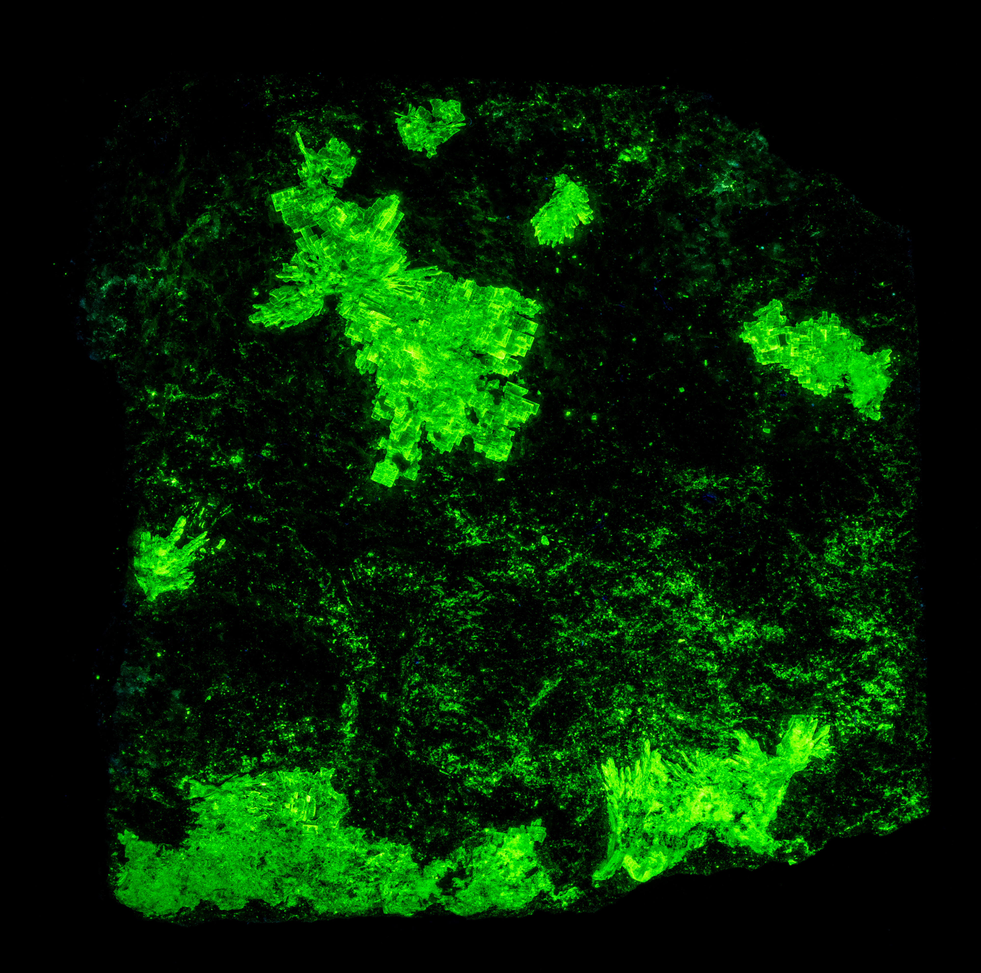 Fluorescence under shortwave UV light.