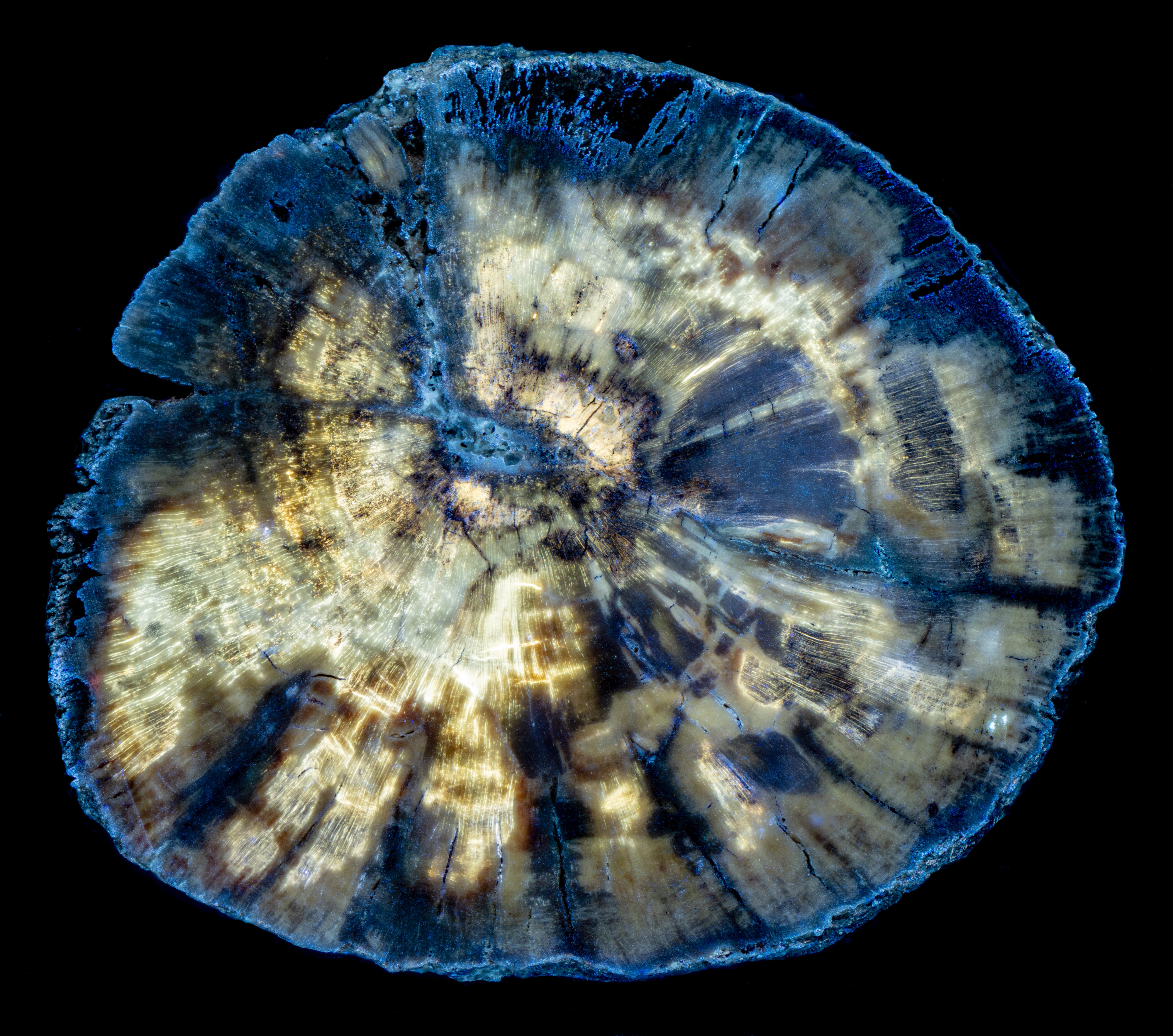 Fluorescence under longwave UV light.