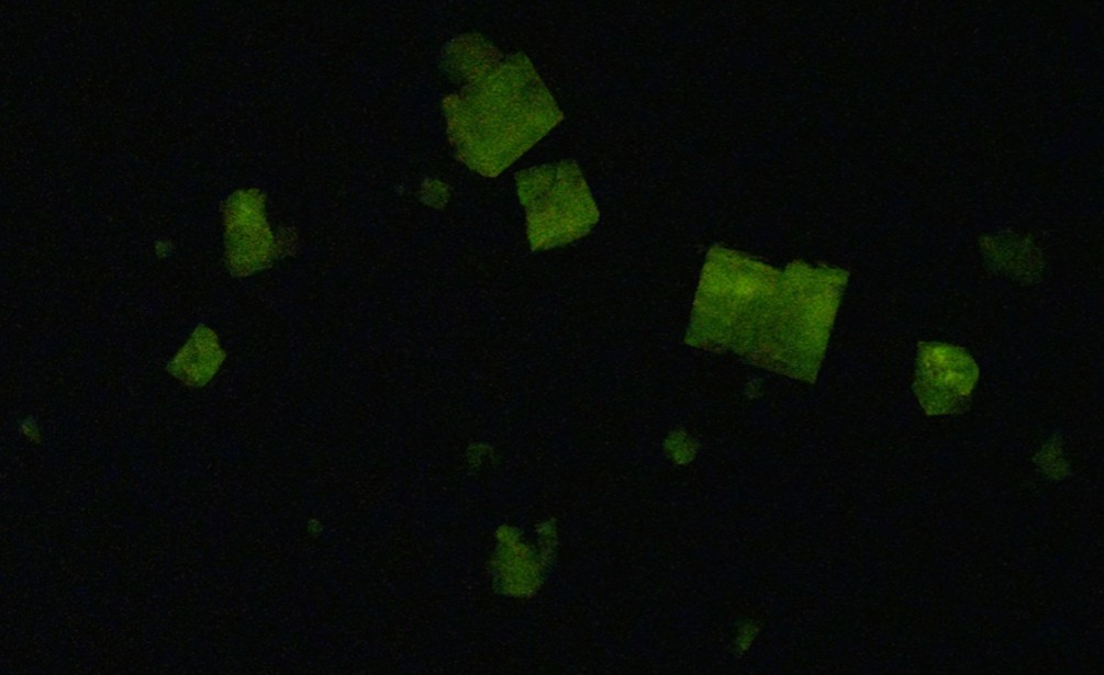 Afterglow after exposure to longwave UV light.