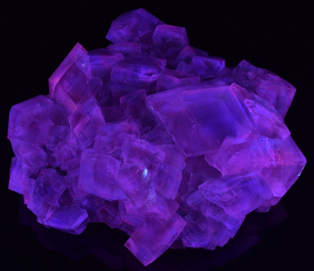 Fluorescence under midwave UV light.