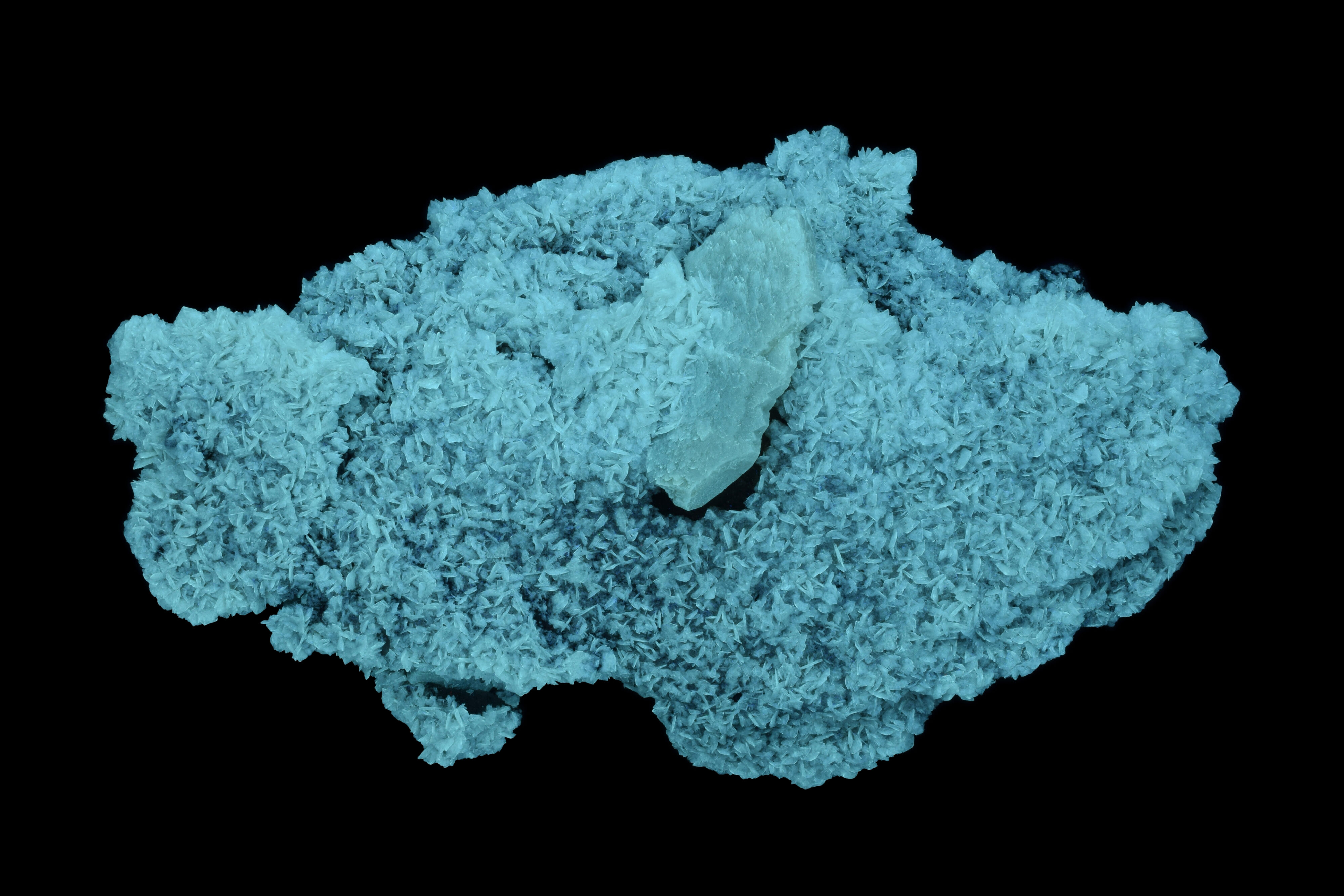 Fluorescence under shortwave UV light.