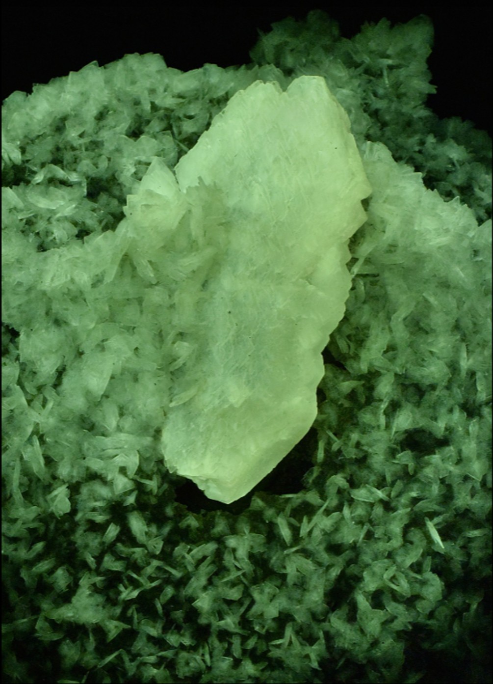 Afterglow after exposure to longwave UV light. Closeup