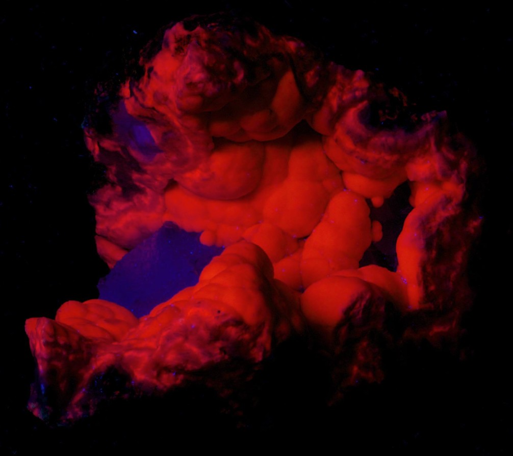 Fluorescence under midwave UV light.