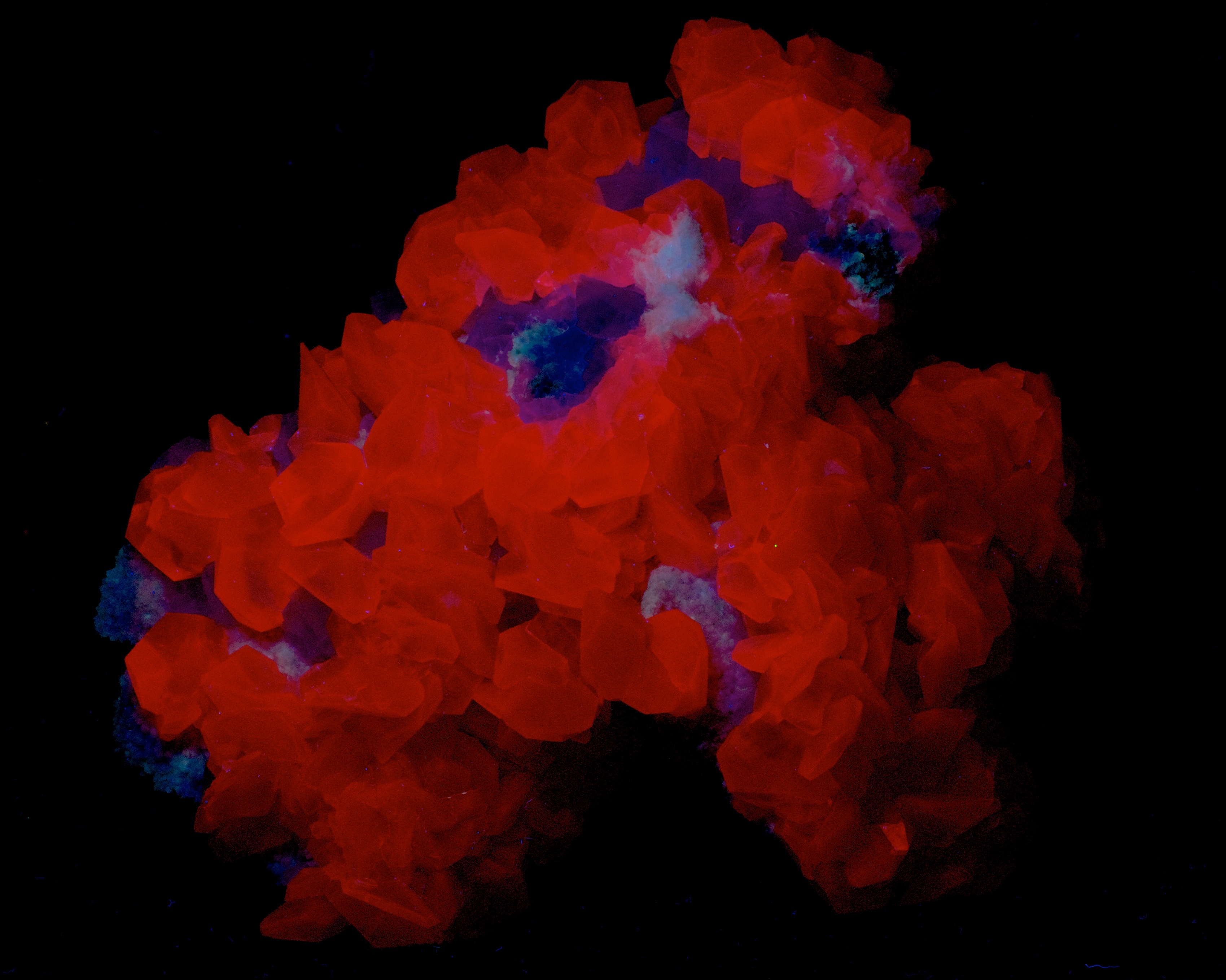 Fluorescence under shortwave UV light.