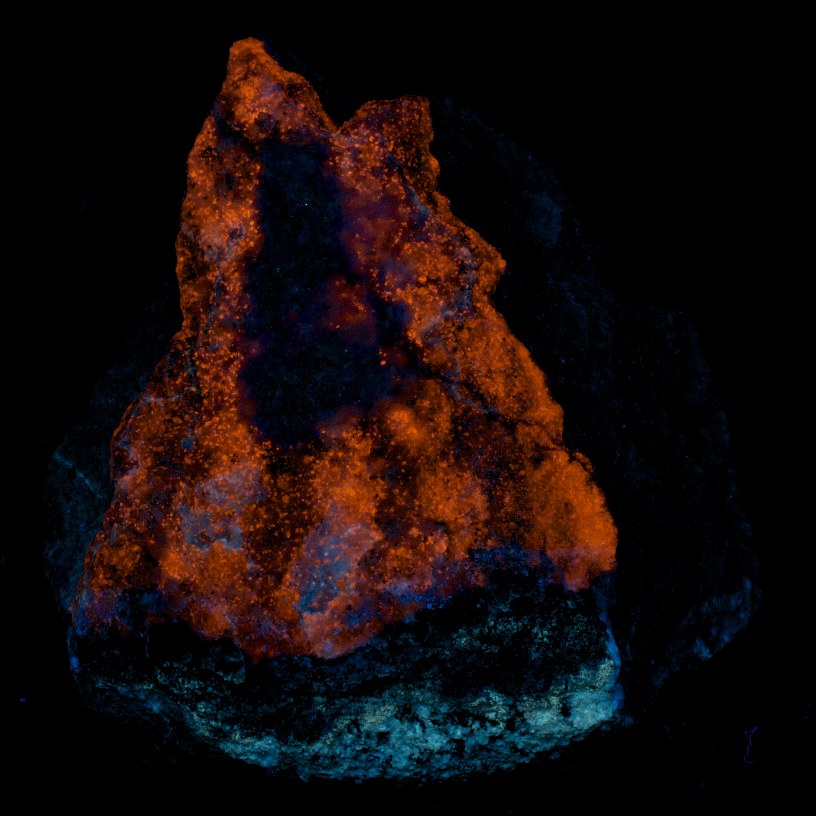 Fluorescence under shortwave UV light.