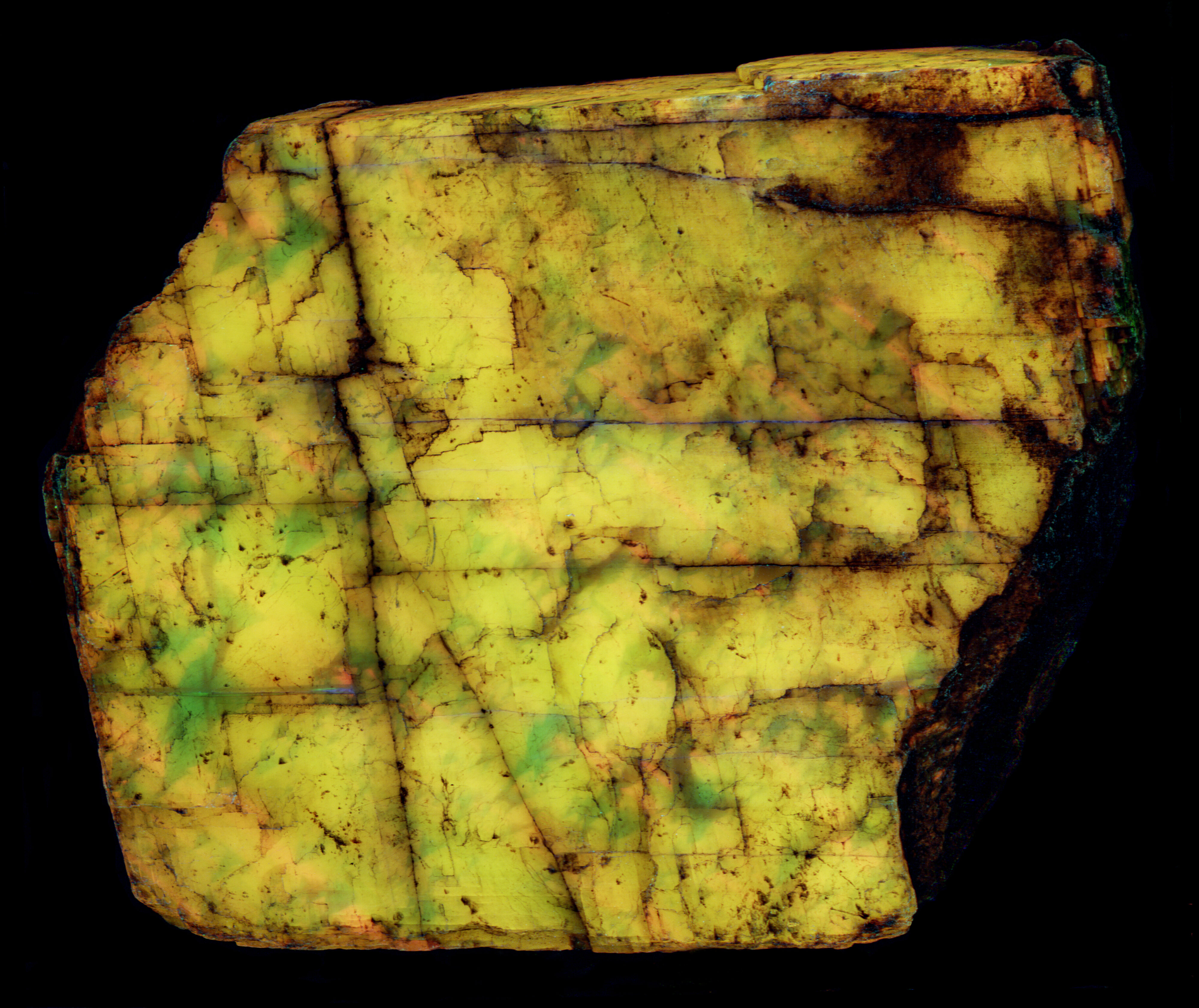 Ultraviolet fluorescence under shortwave UV light. False color of 310 nm, 350 nm, and 394 nm bandpass images.
